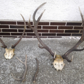 co som nasiel v pohonoch.....