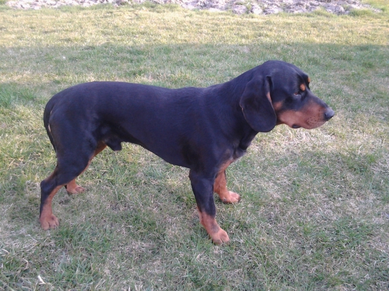 Gero Hruštínska hoľa