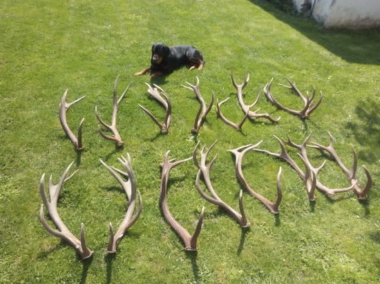 Gero a siesta sezona.....