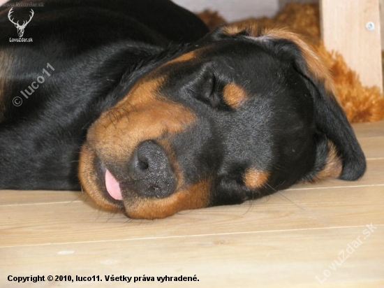 sonndalik :-))