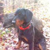 sondalik po uspesnej polovacke...