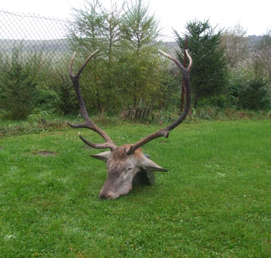 Ešte raz starý pán