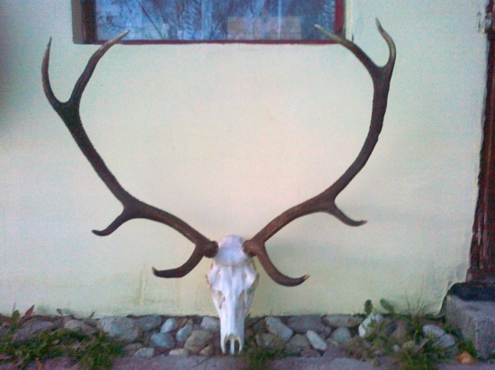 Pripravený na podložku