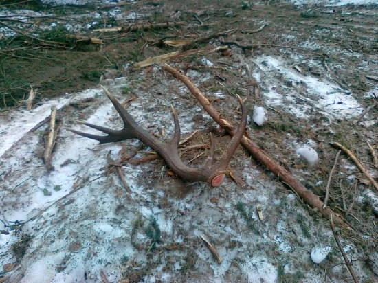 tako ma čakal odpadlík 6.3.2012