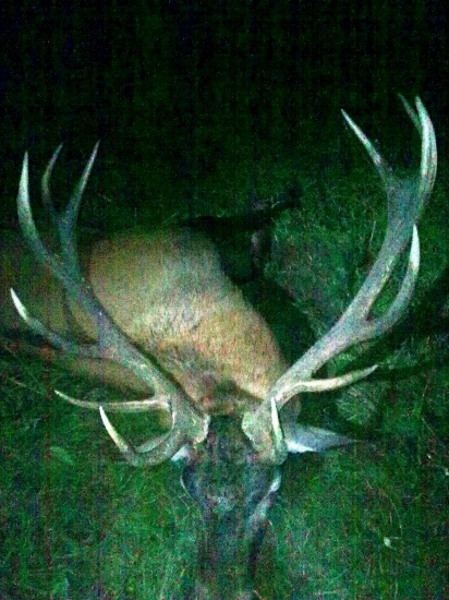 Milanov- Liptov sever