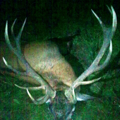 Milanov- Liptov sever