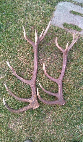 po roku pekne nabral...