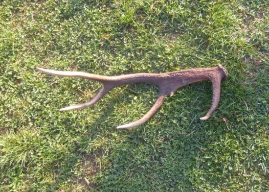 14535
