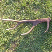 14535