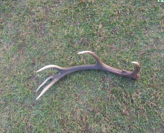 14573