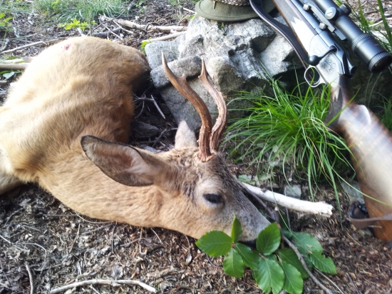 III. VT ze Smrčníku