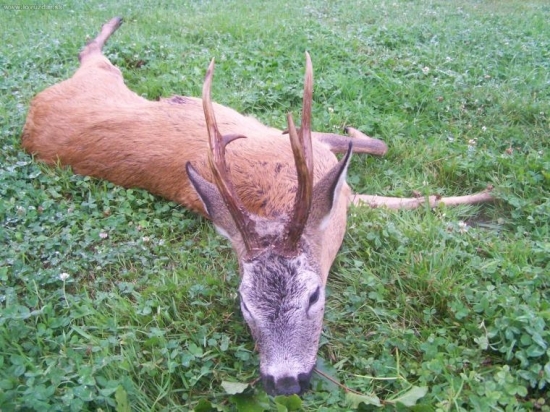 Kamarádův životní