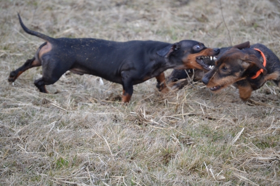 Hra velkých malých kamarátov