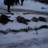 spoločná poľovačka