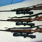 7mm.rem.Mag, .243Win, .22LR
