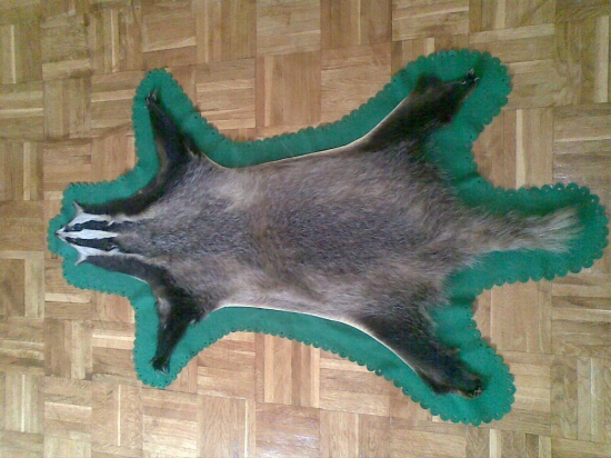 Moj prvý jazvečík