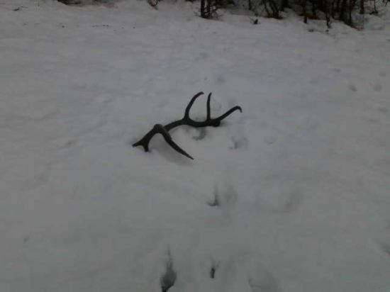 Dnešný štrnástorák