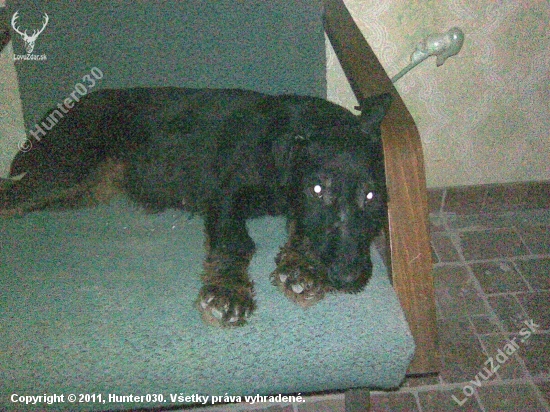 Iza-Deberca