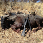 Gnu pasavy