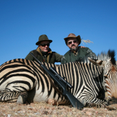 Zebra
