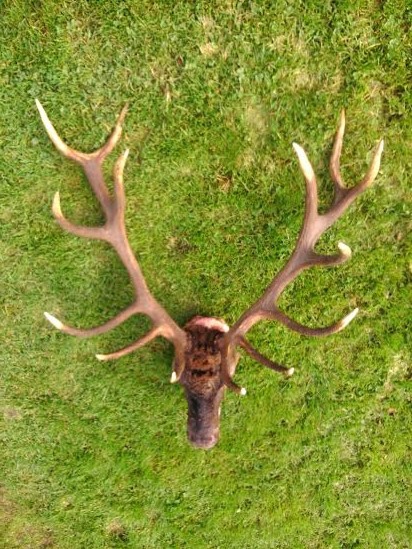 Štastne dohľadaný-aj keď neskoro