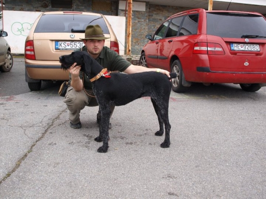 Ambra, z výstavy v Prešove tr. mladých - VD