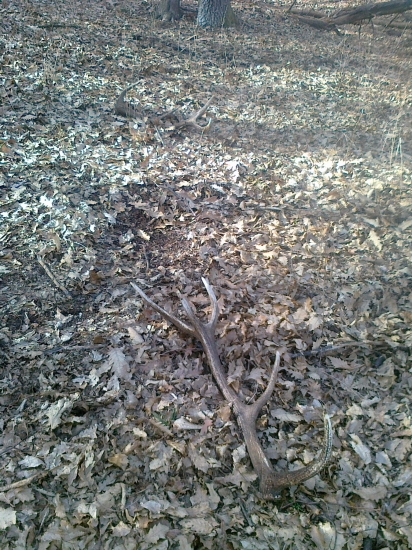 Prvé tohto roku a hneď pár!