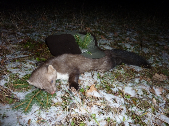 konečne trocha zimy