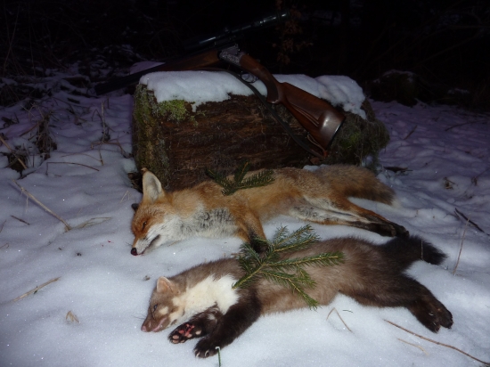 jasná mesačná noc