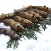 Norování s kamarádem