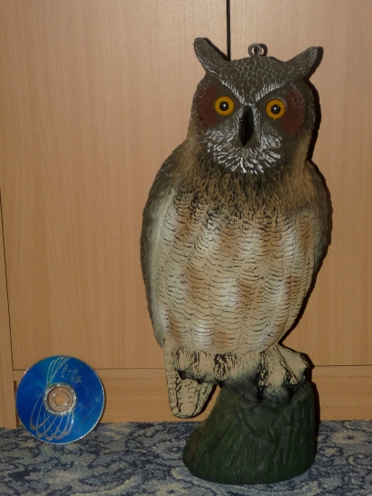 Nový balabán výra skalného