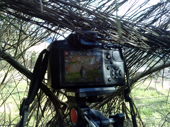 Takto to vypadá z mojho pohladu :)