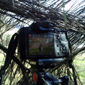 Takto to vypadá z mojho pohladu :)