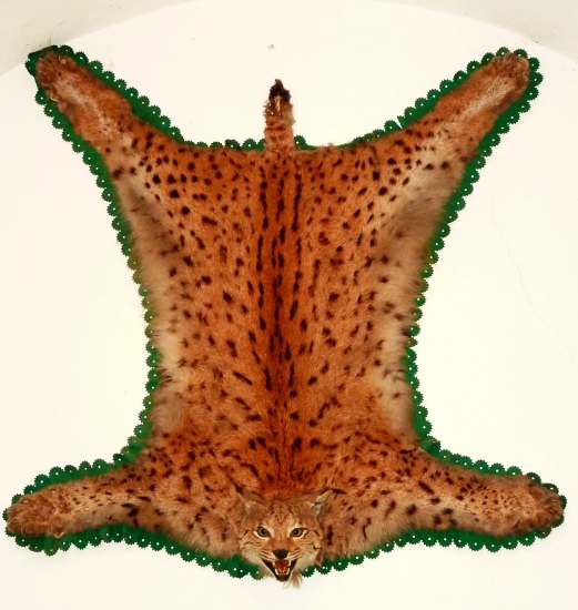 Rys