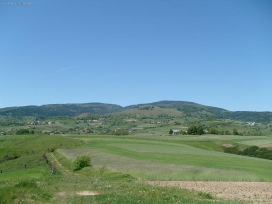 Pani Poľana :o)