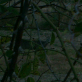 Prišiel ku mne na 10 metrov,no mám zlú techniku