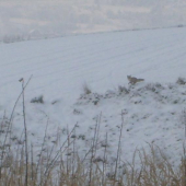 išiel som po jej stopách,a zjavila sa mi na proti svahu