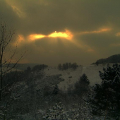 Upravená,všimneš si tam 2 zaľahnuté kusy srnčej..?