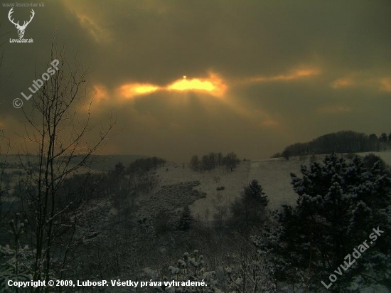 Upravená,všimneš si tam 2 zaľahnuté kusy srnčej..?