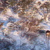 škoda že boli daľeko :/