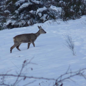 Čo jej môže byť...?? :(