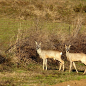 Konečne dobré svetlo