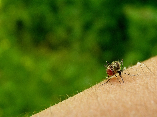 čo k tomu viac ? :-)