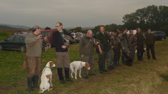 Sokoliarske Lovy , Kostolné 2010