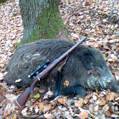Minuloročný