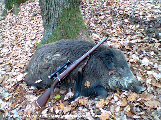 Minuloročný