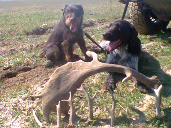 pomocníci boli so mnou