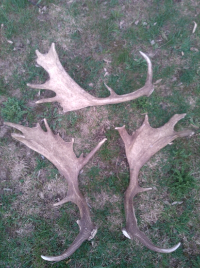 dnešný relax po príchode z práce