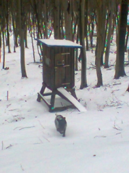 Posed začiatok aprila ID 205176