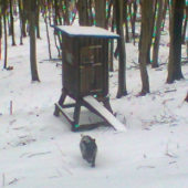 Posed začiatok aprila ID 205176